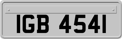 IGB4541