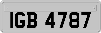 IGB4787