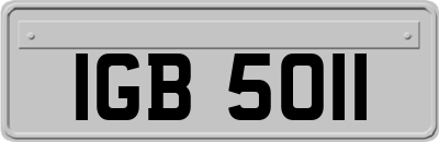IGB5011