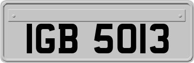 IGB5013