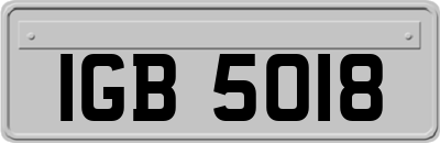 IGB5018