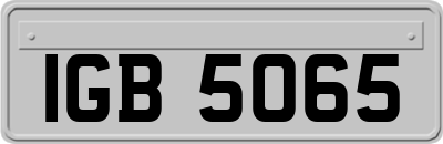 IGB5065