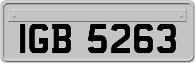 IGB5263