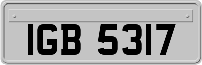 IGB5317