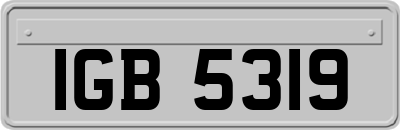 IGB5319
