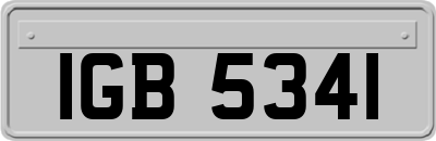 IGB5341