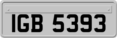 IGB5393