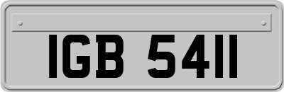 IGB5411