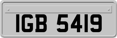 IGB5419