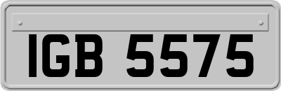 IGB5575