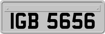 IGB5656