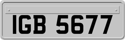 IGB5677