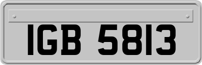 IGB5813