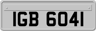 IGB6041