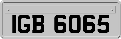 IGB6065