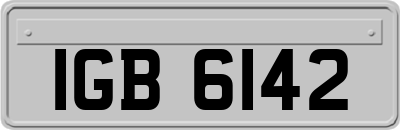IGB6142