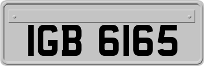 IGB6165