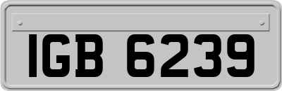 IGB6239
