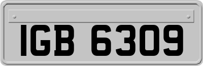 IGB6309