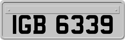 IGB6339