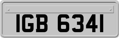 IGB6341