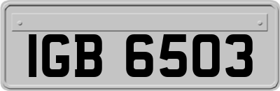 IGB6503