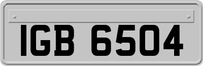 IGB6504