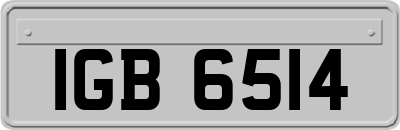 IGB6514