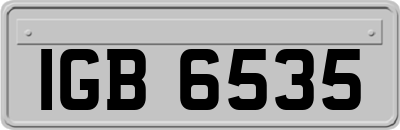 IGB6535