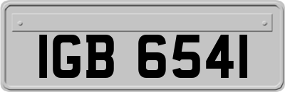 IGB6541