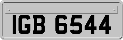 IGB6544