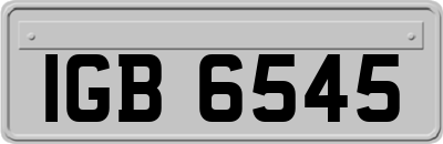 IGB6545