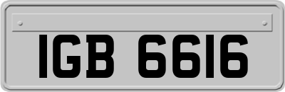 IGB6616