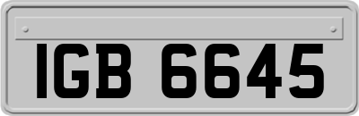 IGB6645
