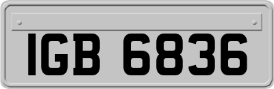 IGB6836
