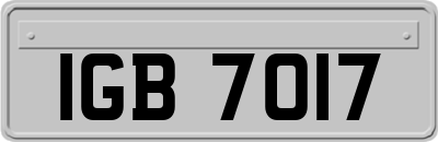 IGB7017