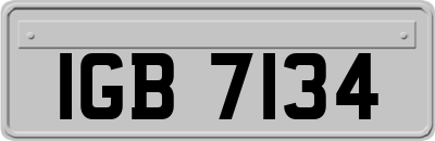 IGB7134