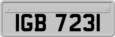 IGB7231