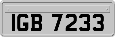 IGB7233