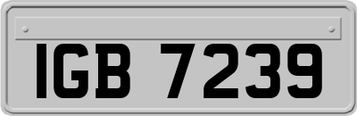 IGB7239