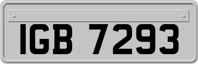 IGB7293