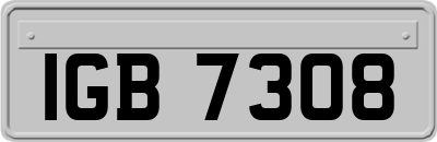 IGB7308