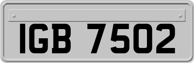 IGB7502