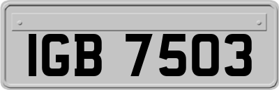 IGB7503