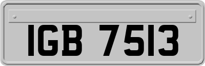 IGB7513