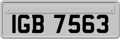 IGB7563