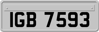 IGB7593