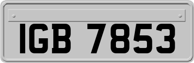 IGB7853