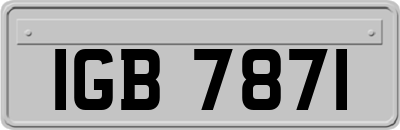 IGB7871
