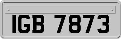 IGB7873